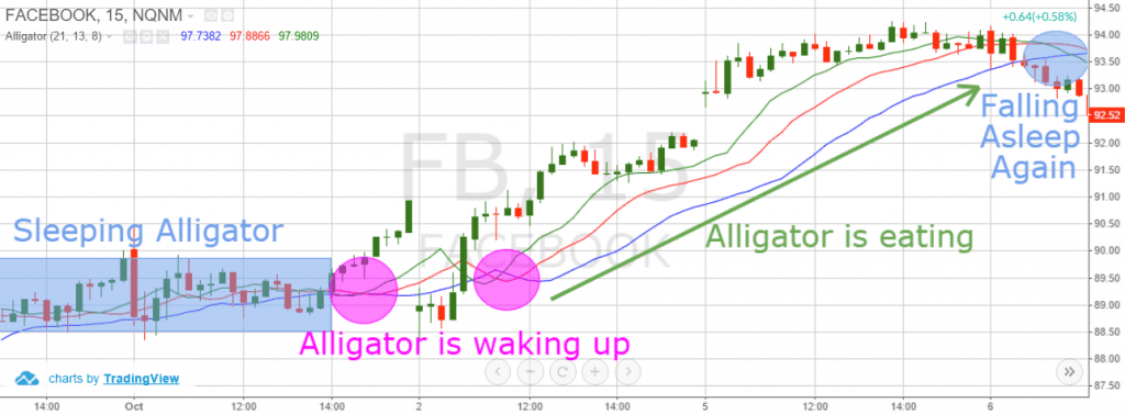Alligator Stages