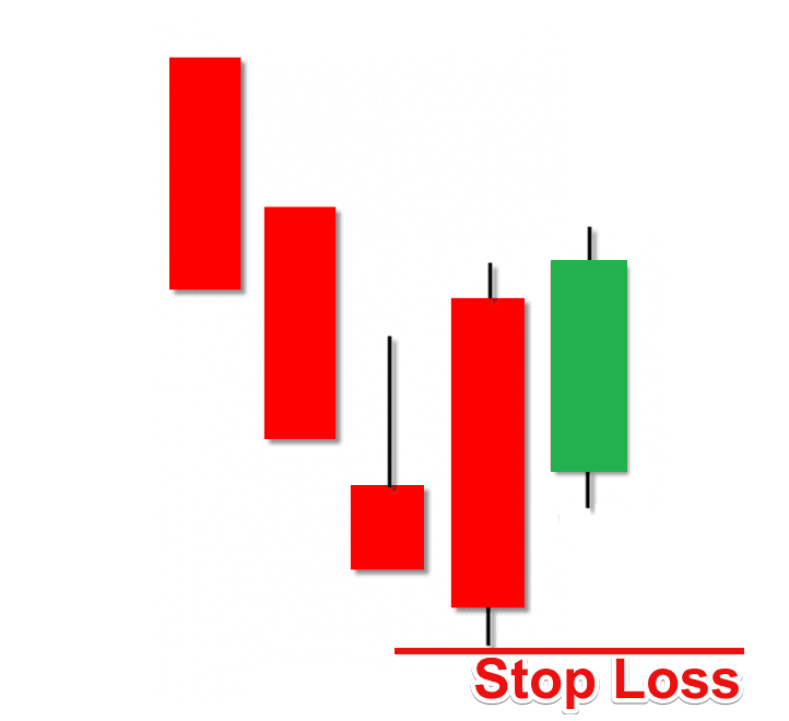 Concealing Baby Swallow - Stop Loss