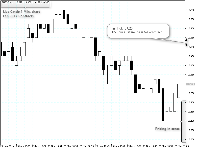 6 Key Things You Need to Know about Cattle Futures TradingSim