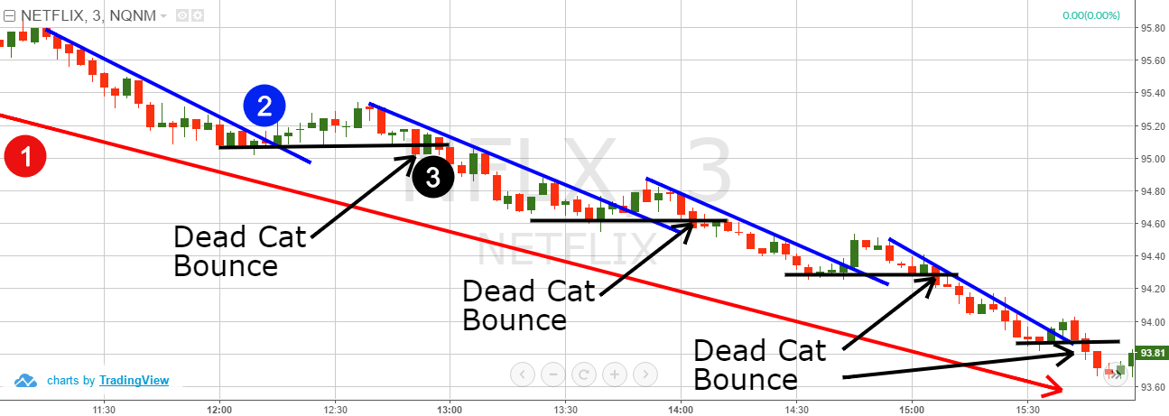 How To Trade The Dead Cat Bounce Tradingsim