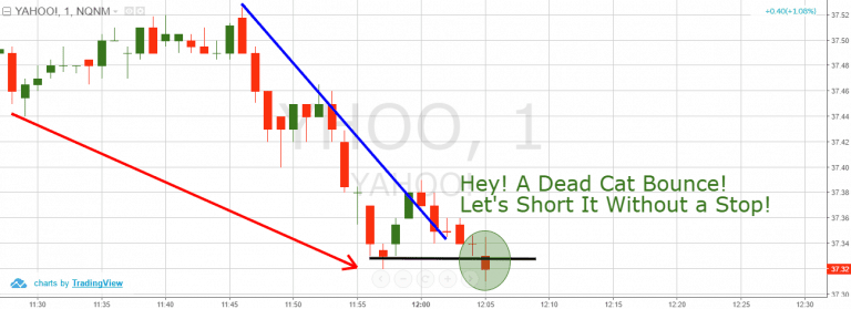 How To Trade The Dead Cat Bounce | TradingSim